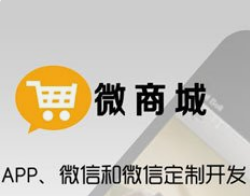 微商城與小程序商城的運(yùn)營成本差異